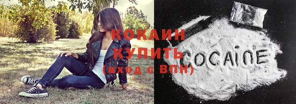 стафф Кодинск