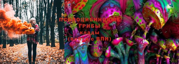 спиды Дмитровск