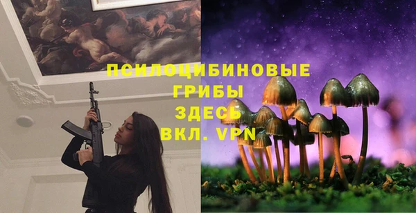 не бодяженный Вяземский