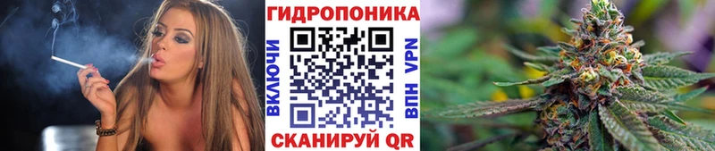 купить наркотик  Пущино  Бошки марихуана индика 